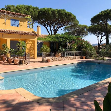 Sous Les Pins Parasols Vidauban Exteriör bild