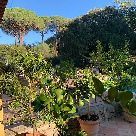 Sous Les Pins Parasols Vidauban Exteriör bild