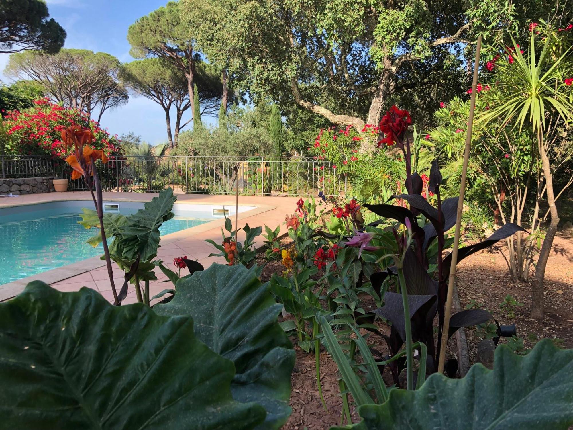 Sous Les Pins Parasols Vidauban Exteriör bild