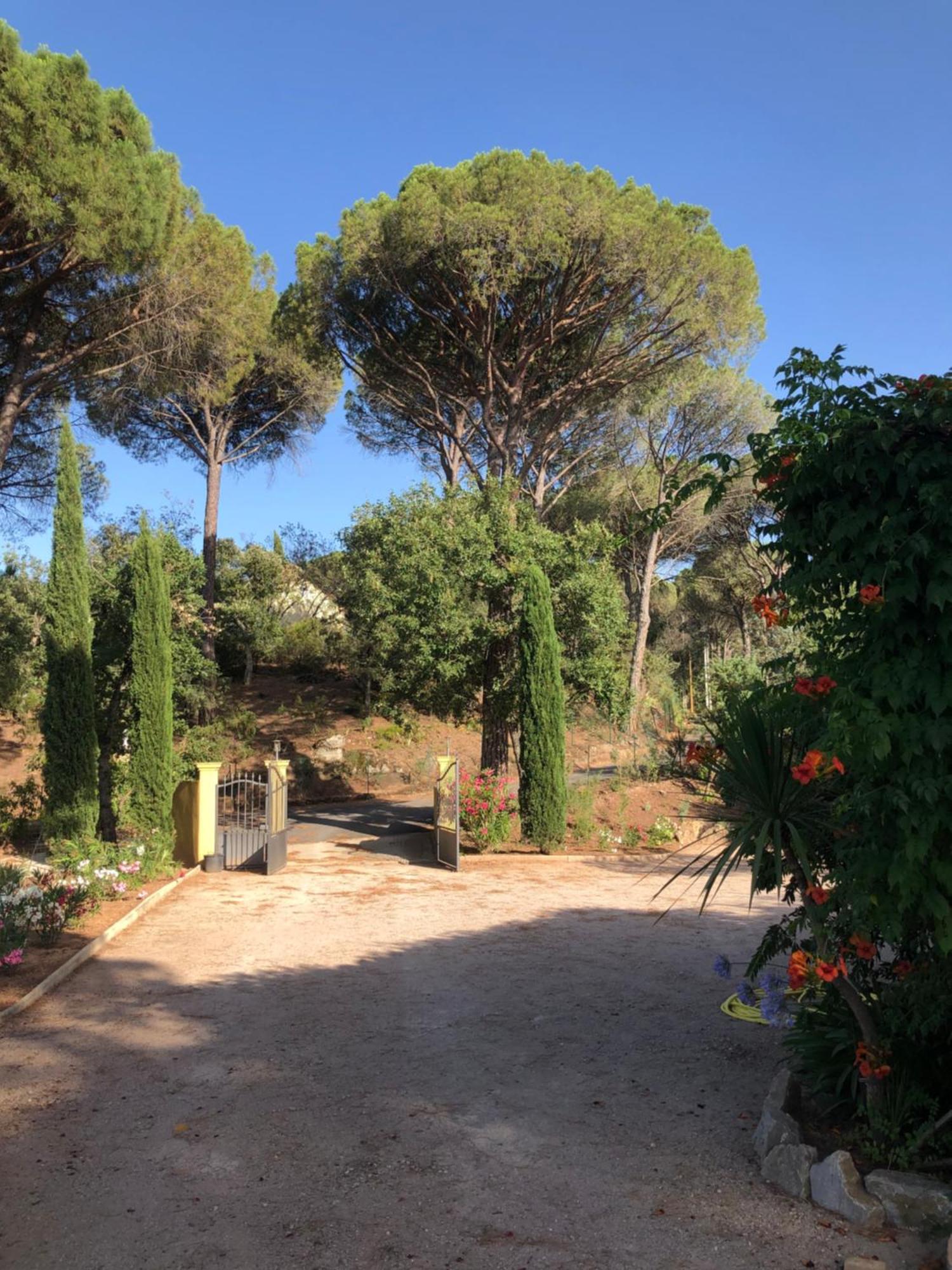 Sous Les Pins Parasols Vidauban Exteriör bild