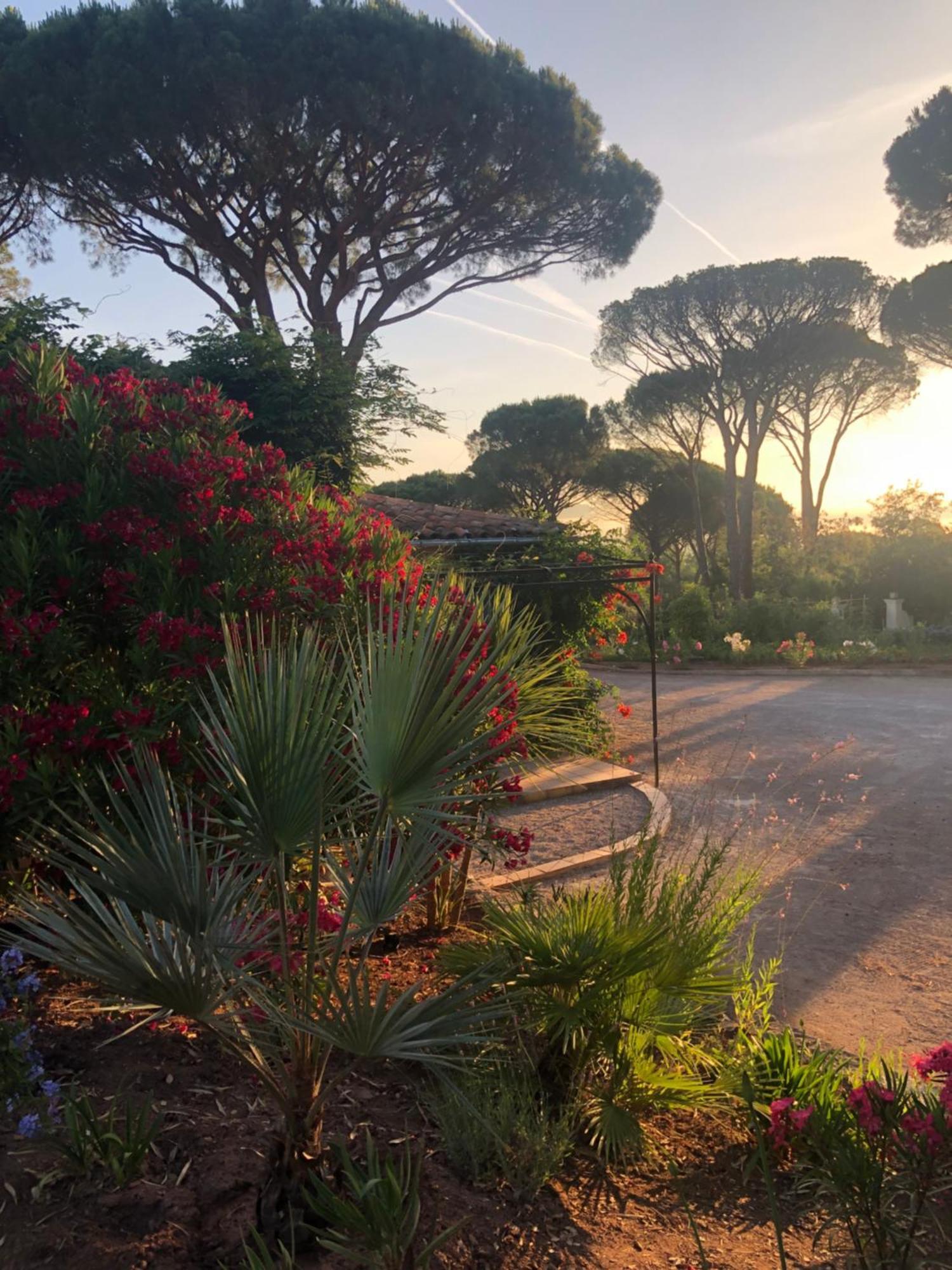 Sous Les Pins Parasols Vidauban Exteriör bild