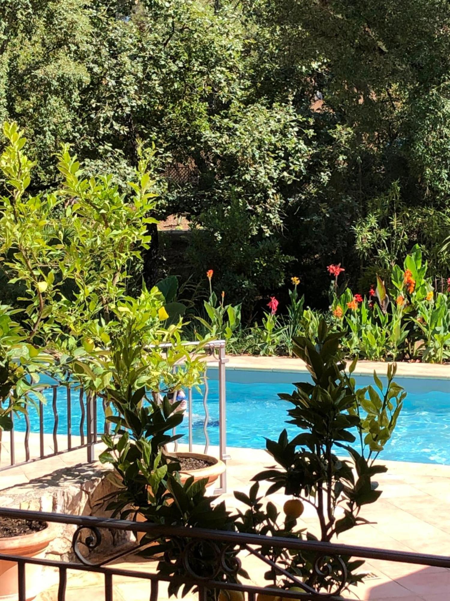 Sous Les Pins Parasols Vidauban Exteriör bild