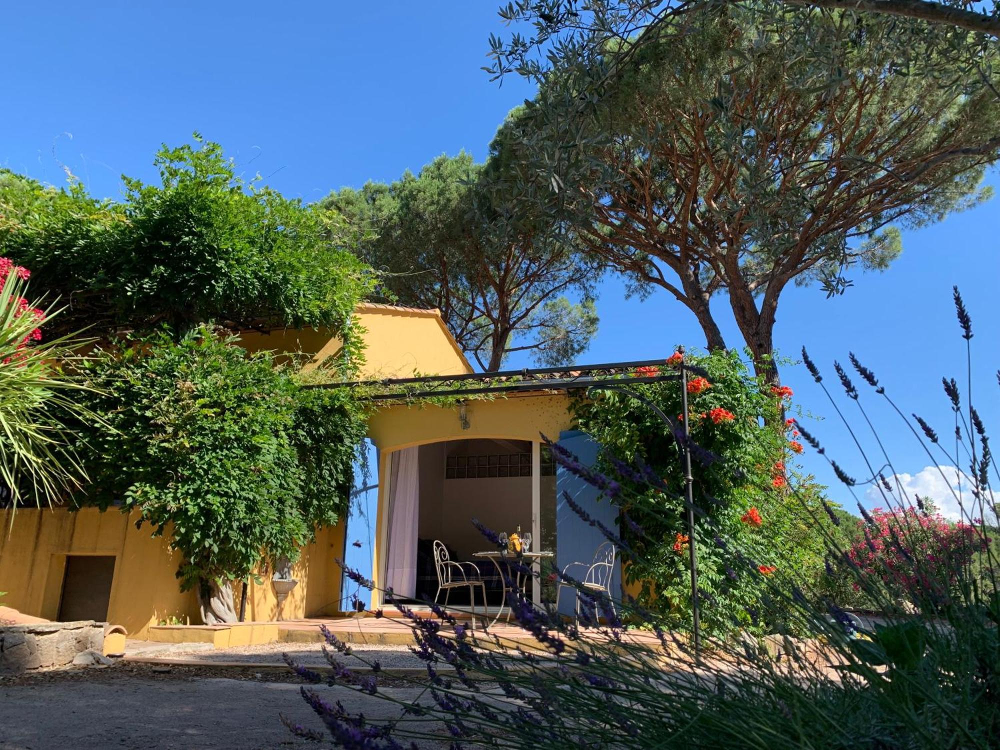 Sous Les Pins Parasols Vidauban Exteriör bild