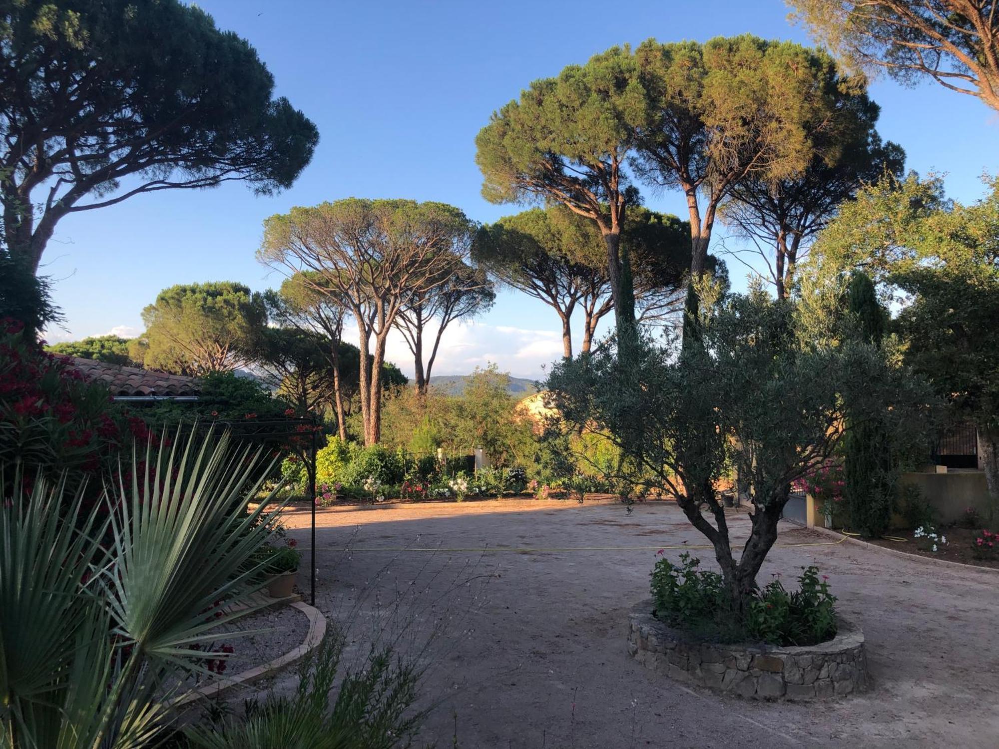 Sous Les Pins Parasols Vidauban Exteriör bild