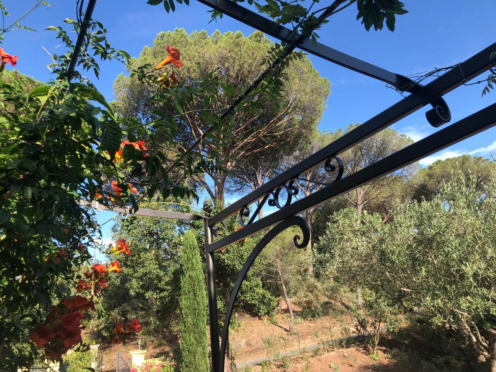 Sous Les Pins Parasols Vidauban Exteriör bild