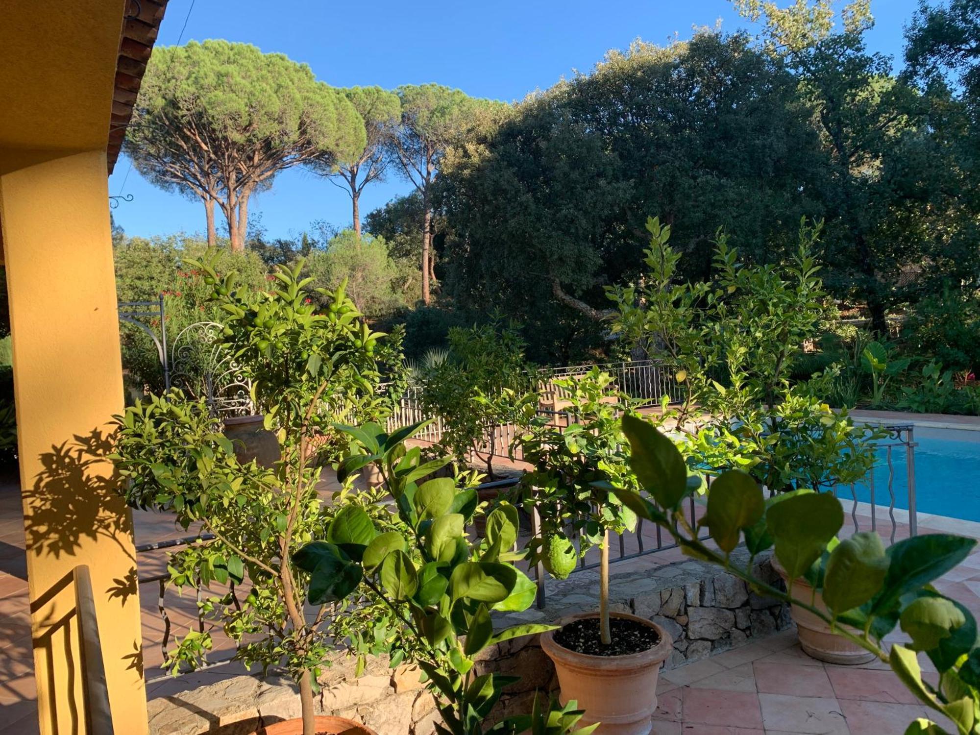 Sous Les Pins Parasols Vidauban Exteriör bild