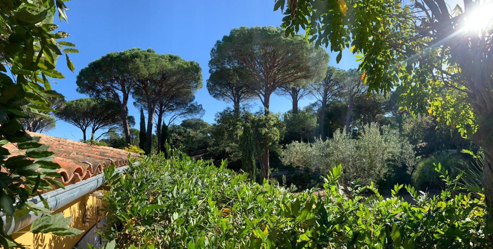 Sous Les Pins Parasols Vidauban Exteriör bild