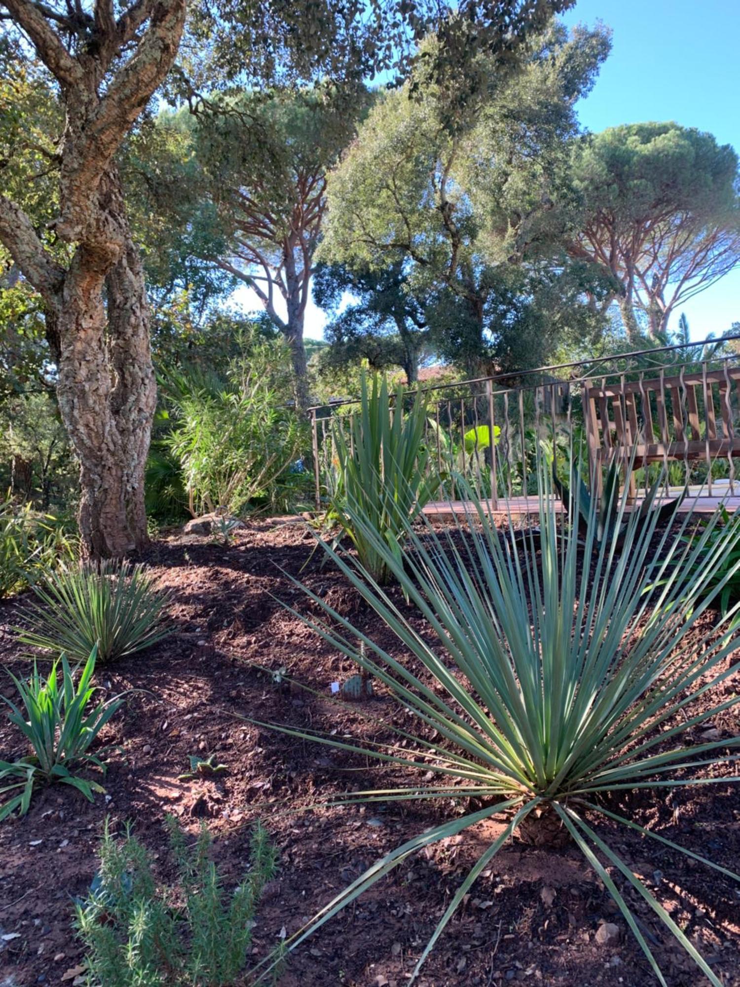 Sous Les Pins Parasols Vidauban Exteriör bild
